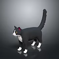 Black And White Cat Standing On Dark Background With Reflective Surface And Detailed Features