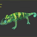 Lizard Anime Lizard Chameleon Cartoon Lizard Reptile Cold Blooded Animal Reptile Class 3d model