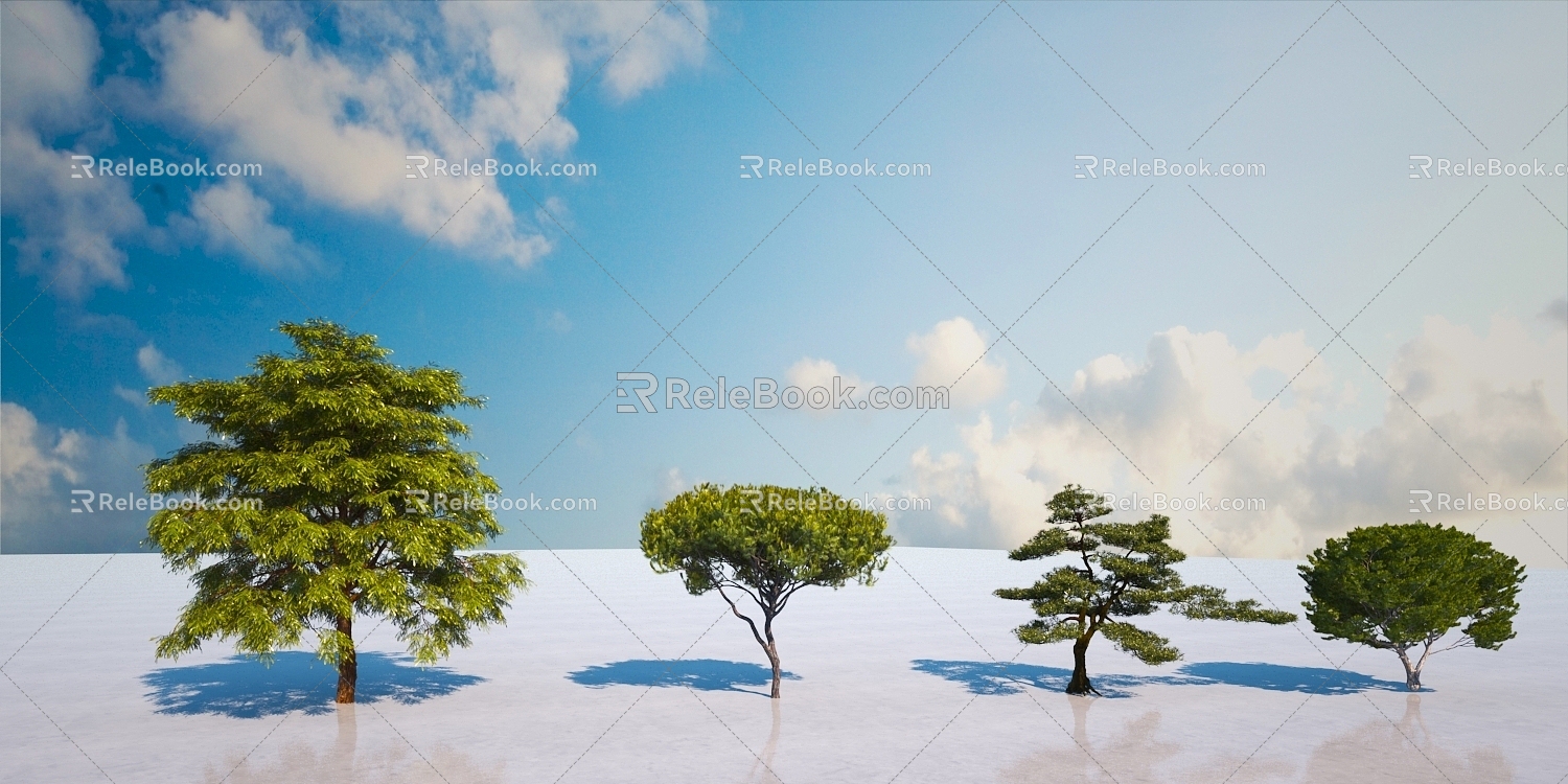 Landscape Pine Combination 3d model