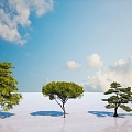 Landscape Pine Combination 3d model