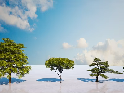 Different Types of Trees Standing on Open White Ground Under Blue Sky With White Clouds 3d model