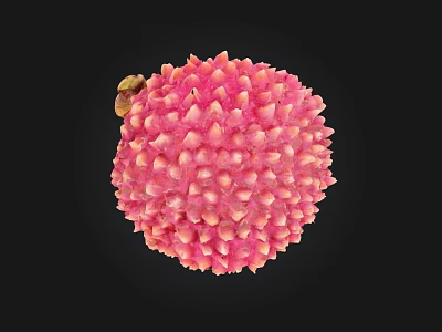 Fresh Ripe Lychee Fruit With Pink Spiky Texture Isolated On Black Background 3d model