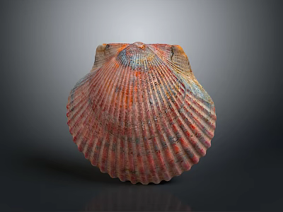 Vibrant Multicolored Seashell With Intricate Surface Texture And Natural Patterns 3d model