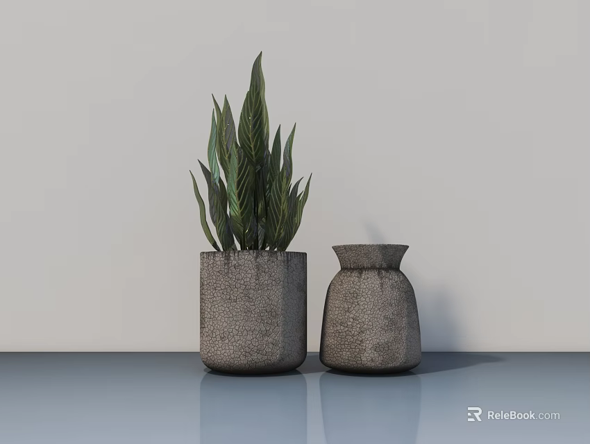 Potted Plant With Green Leaves In Gray Pots On Blue Countertop And Light Gray Wall 3d model 