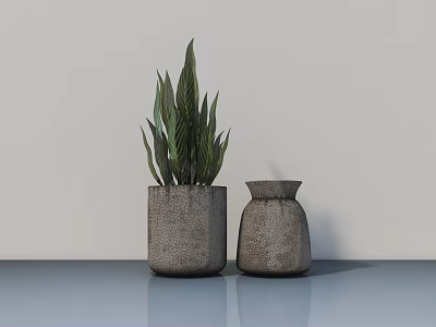 Potted Plant With Green Leaves In Gray Pots On Blue Countertop And Light Gray Wall 3d model