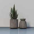Potted Plant With Green Leaves In Gray Pots On Blue Countertop And Light Gray Wall