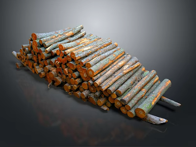 Stacked Natural Wooden Logs with Rustic Brown and Gray Surface Texture 3d model