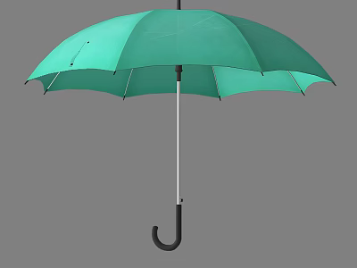 Green Umbrella With Black Curved Handle Classic Design And Waterproof Material 3d model