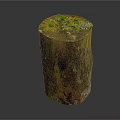 Wood And Stone Decorative Tree Stump With Green Moss Small Plants And Natural Elements