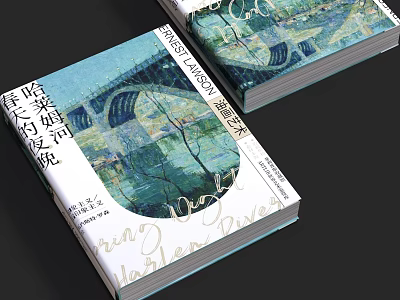Artistic Book Cover Design With Water Lily Bridge Illustration And Chinese Text 3d model