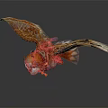 Flying Orange White Feathered Bird With Decorative Blue Gold Saddle As Mythical Rider's Companion