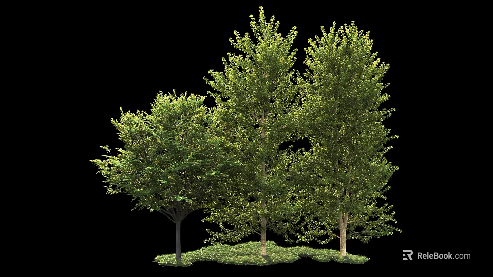 Green Arbor Trees with Lush Foliage and Grass Base on Black Background 3d model 