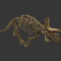 Modern Dinosaur Skeleton Triceratops Skeleton Triceratops Skeleton 3d model