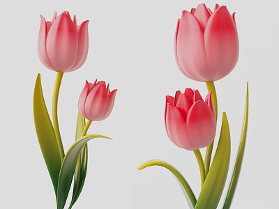 Beautiful Pink Tulips With Green Leaves And Stems On Light Gray Background 3d model