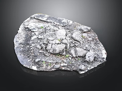 Natural Rock Surface With Crushed Stones Small Green Plants And Rough Texture 3d model