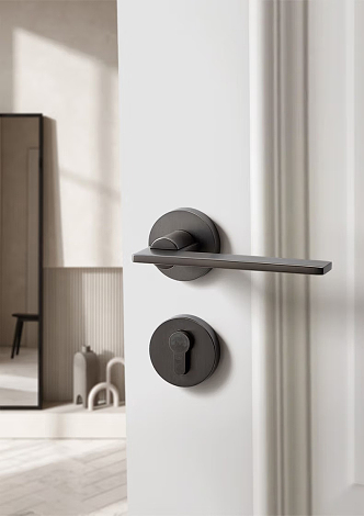 Modern Door Handle Hardware 3d model