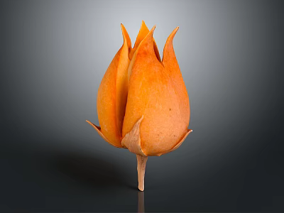 Elegant Orange Flower Shaped Decorative Home Living Accessory With Petal Design 3d model