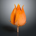 Elegant Orange Flower Shaped Decorative Home Living Accessory With Petal Design