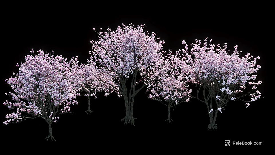 Multiple Beautiful Arbor Trees Blooming With Pink Blossoms Against Black Background 3d model 