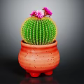 Green Spherical Cactus With Yellow Spines And Pink Flowers In Red Terracotta Legged Pot