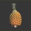 Fresh Ripe Pineapple with Vibrant Green Leaves and Golden Yellow Skin as Juicy Tropical Fruit