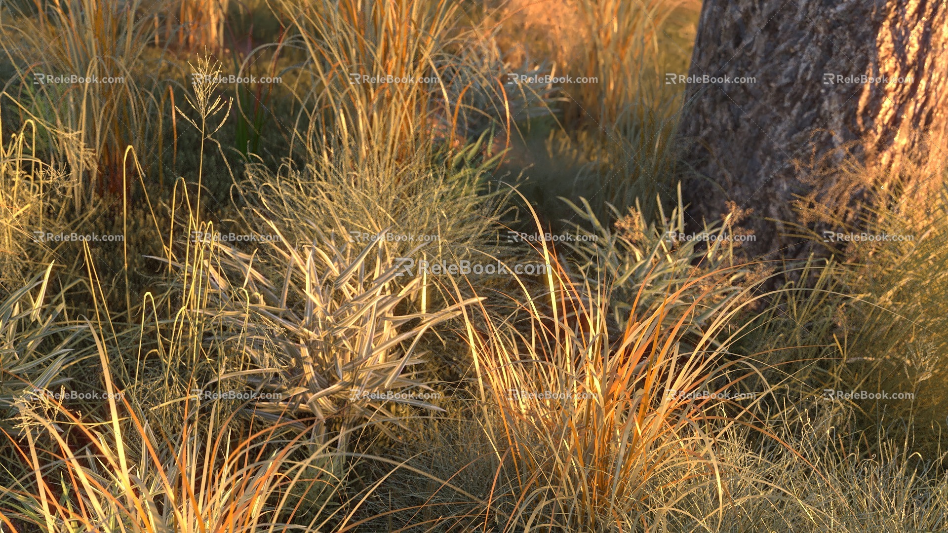 modern grassland 3d model