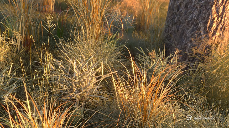 Tall Golden Grasses And Green Plants Growing Around Tree Trunk In Sunset Light 3d model 