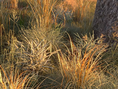 Tall Golden Grasses And Green Plants Growing Around Tree Trunk In Sunset Light 3d model