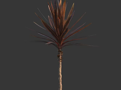 Tall Ornamental Tree With Lush Brown Red Leaves And Textured Trunk 3d model