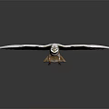 Snowy Owl With Spread White Wings Brown Body Yellow Eyes And Talons On Reflective Surface