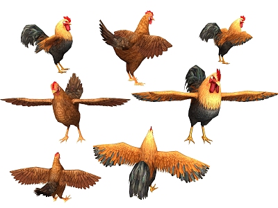 Modern Chicken 3d model