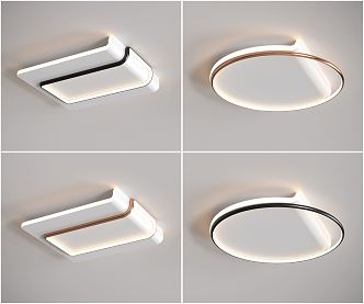 Modern Ceiling Lamp Minimalist Ceiling Lamp 3d model