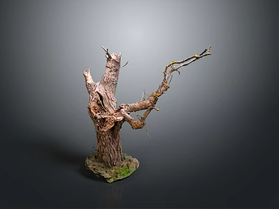 Natural Decorative Wooden Tree Stump with Stone Base and Twisted Branches 3d model