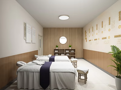 Relaxation Room Interior With Massage Beds Wooden Walls Round Mirror And Green Plants 3d model