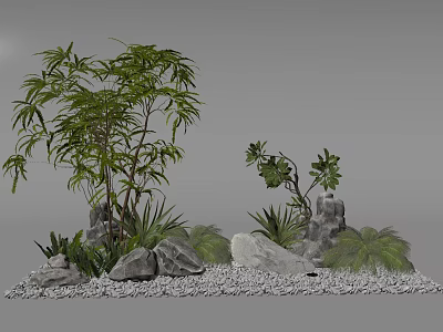 Natural Garden Landscape With Various Plants Stones And Gravel Arrangement 3d model