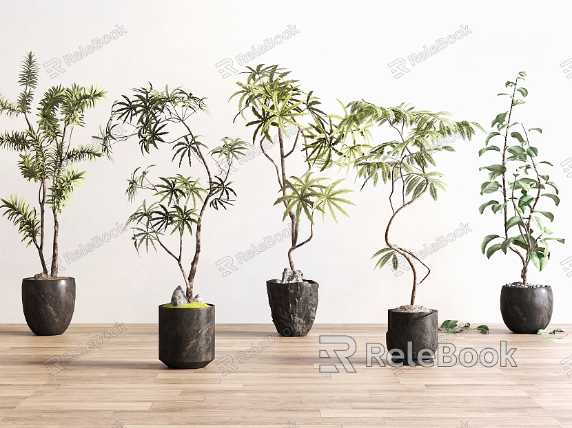 Modern Style Green Plant Potted Plant model