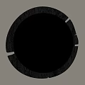 Circular Mirror with Black Wooden Frame and Reflection of Green Plants on Light Colored Wall