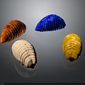 Colorful Textured Caterpillars in Red Brown Blue White and Yellow on Dark Background