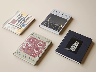 Colorful Books and Magazines with Artistic Cover Designs Including Geometric Patterns and Architectural 3d model