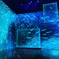 Exhibition Hall With Blue Ocean Projection And Large Interactive Screens For Viewing Experience 3d model