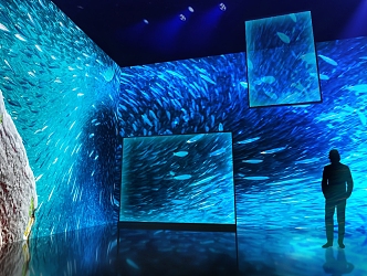 Exhibition Hall Ocean Exhibition Immersive Space Ecological Exhibition Hall Immersive Experience Zone teamlab Immersive Art Space Immersive Cinema 3d model