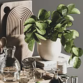Decorative Ornament Combination With Green Plant Glass Vase Wooden Tray And Glassware
