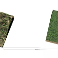 Green Trees Arranged on Terraced Hillside with Lush Vegetation Growth