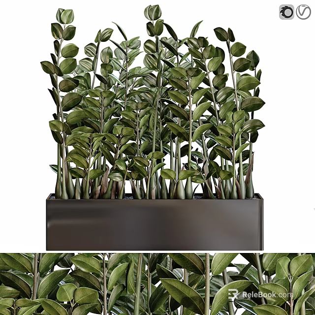 Lush Garden Decorative Greenery With Vibrant Leafy Plants In Rectangular Black Planter 3d model 