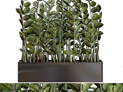 Lush Garden Decorative Greenery With Vibrant Leafy Plants In Rectangular Black Planter 3d model