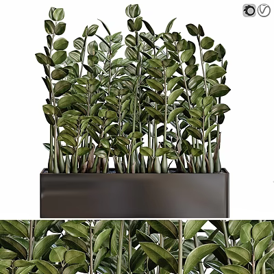 Lush Garden Decorative Greenery With Vibrant Leafy Plants In Rectangular Black Planter 3d model
