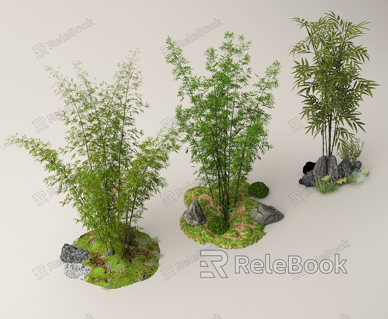 Bamboo Bamboo Forest Landscape Bamboo Plant Pile Landscape Stone model