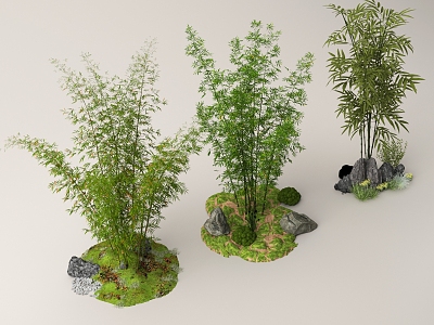 Bamboo Forest Landscape Bamboo Plant Pile Landscape Stone model