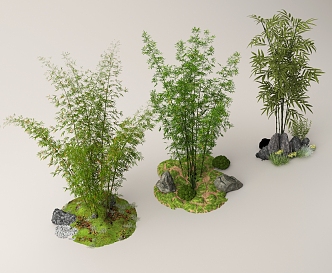 Bamboo Forest Landscape Bamboo Plant Pile Landscape Stone 3d model