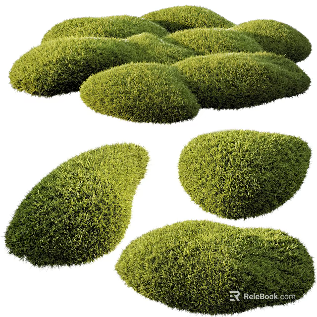 Lush Green Moss Clumps With Natural Shapes And Textured Surfaces For Garden 3d model 
